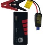 PALEIDIMO ĮRENGINYS