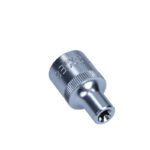 SELTA 1/2″ galvutė TORX E8
